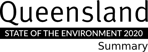 State of the Environment 2020 Logo