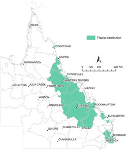 Distribution of Tilapia species by river basin, 2015