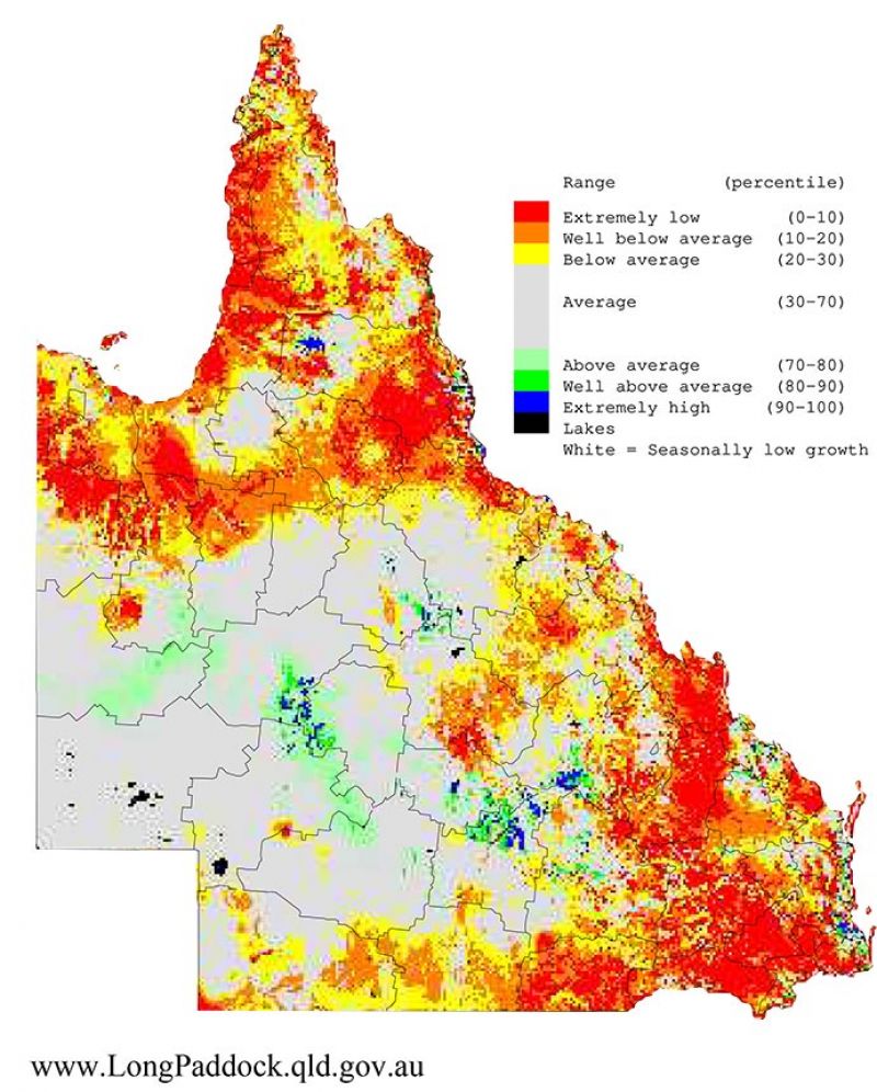 Maps show the last three 12-month periods (April-March) of rainfall and pasture growth for Queensland as percentiles (i.e. relative to history).