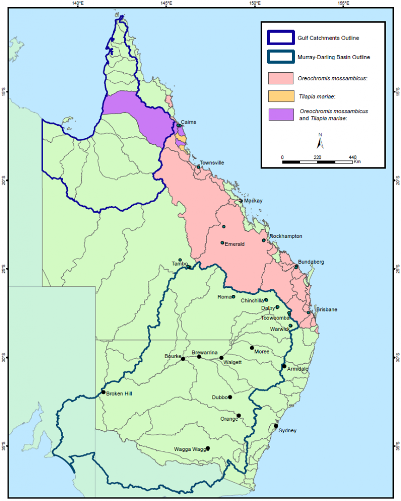 Oreochromis mossambicus and Tilapia mariae distribution throughout Qld — as at November 2019